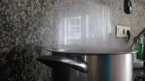 Cooking fresh octopus tentacles in boiling water inside a pot Stock-Footage 337076598
