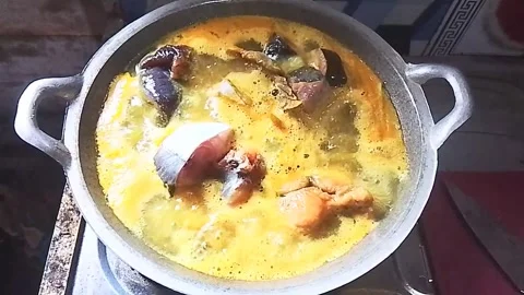 Cooking Fresh River Patin Fish Curry (Gulai Ikan) on a Gas Stove Stock Footage 342882745