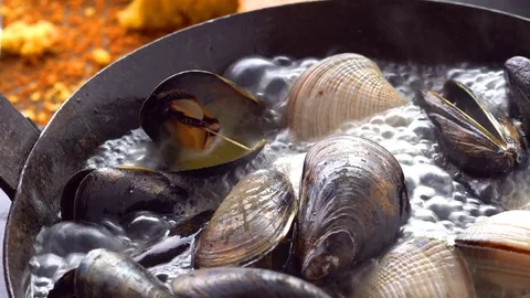 Cooking fresh shellfish dolly shot Stock Footage 70859401