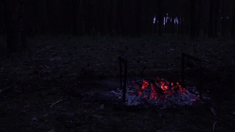 Cooking fresh vegetables on burning forest campfire on dark night deep in the Stock Footage 102389838
