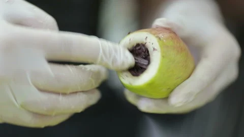 Cooking fruit dessert 動画素材 97199384