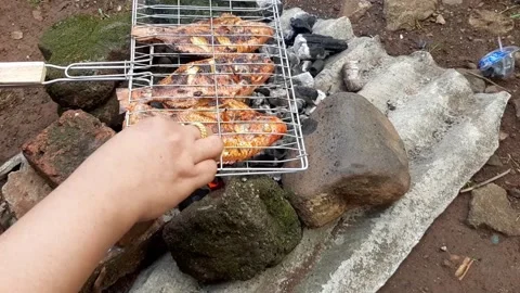 Cooking grilled fish on a fire made of wood charcoal while camping in nature Stock Footage 277938594