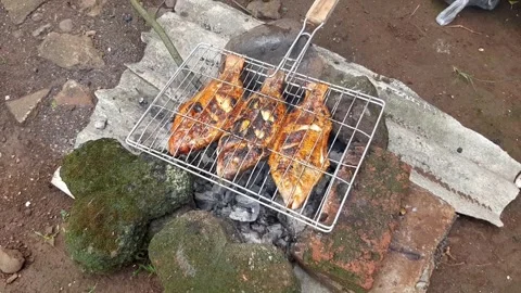 Cooking grilled fish on a fire made of wood charcoal while camping in nature Stock Footage 277939341