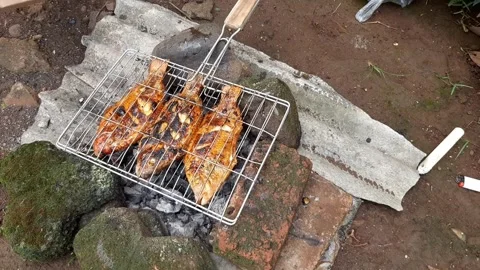Cooking grilled fish on a fire made of wood charcoal while camping in nature Stock Footage 277939423