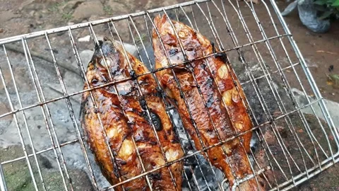 Cooking grilled fish Stock Footage 277939520