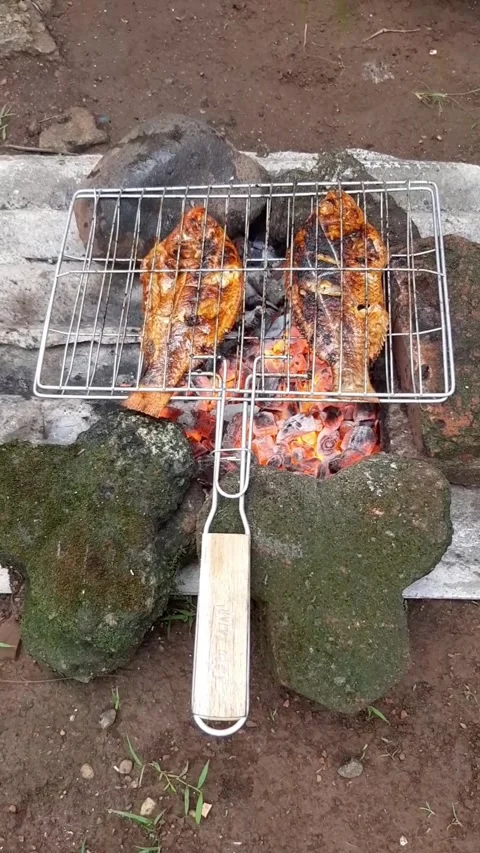 Cooking grilled fish while camping in nature Stock Footage 277939424