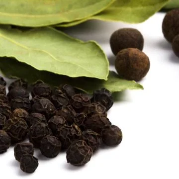 Cooking herbs Stock Photos