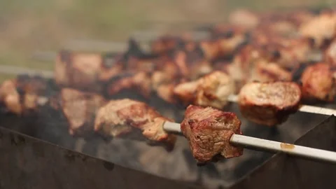 Cooking Kebab On The Grill Stock Footage 234810675