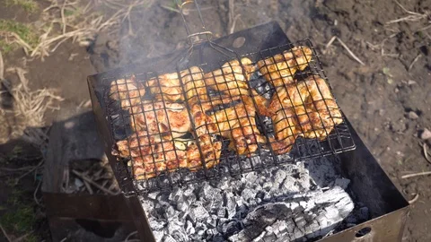 Cooking kebab on an open fire on a summer day Stock Footage 89970769