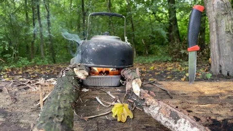 Cooking in a kettle on a fire in the forest Stock Footage 252077858