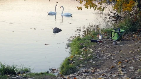 Cooking by the lake Vídeo Stock 97138832