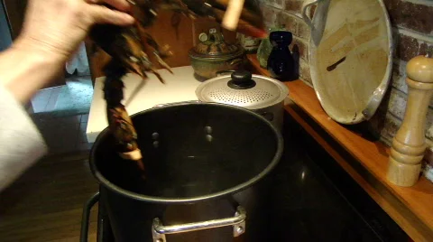 Cooking lobsters Stock Footage 450560