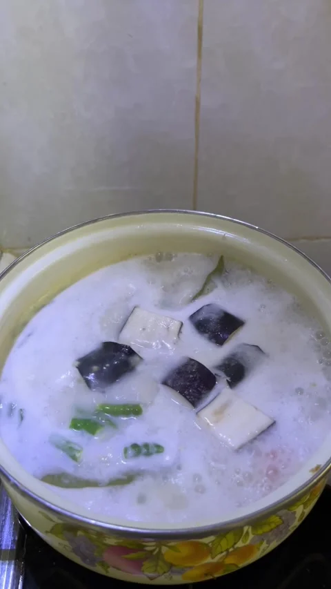 Cooking lodeh vegetables Stock Footage 296453667