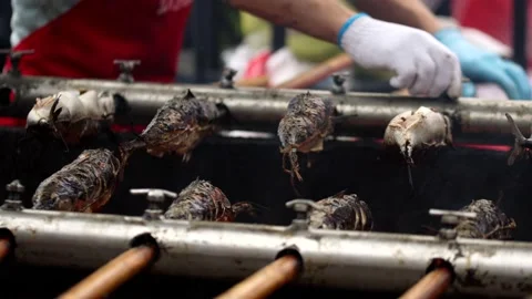 Cooking mackerel fish in grill open fire in the street food Stock Footage 158270902