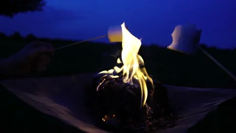 Cooking making s'mores marshmallows fire firepit on a peaceful evening night Stock Footage 145905943