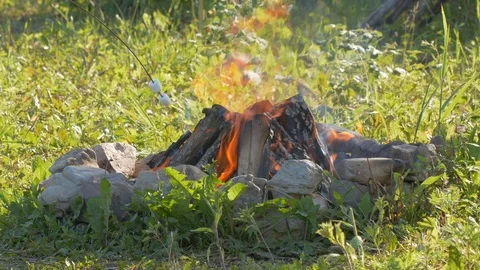 Cooking marshmallow over the campfire in UHD Stock-Footage 112463502