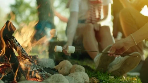 Cooking marshmallows on bonfire on hike Stock Footage 96243844