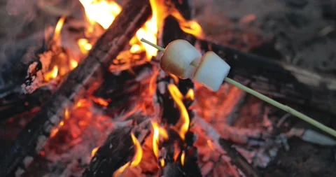 Cooking marshmallows over the campfire at night Stock Footage 135613514