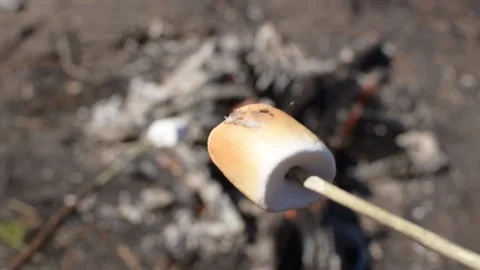 Cooking marshmallows over a campfire in the park Stock Footage 144388135