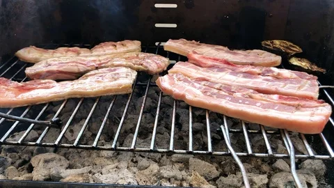Cooking meat on the bbq Stock Footage 129816481