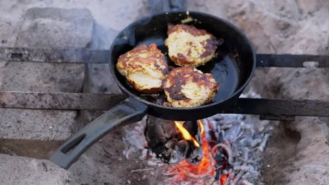 Cooking meat on a campfire Stock Footage 293280698