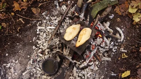 Cooking Meat Chicken over the Campfire. Cooking while Camping in the Woodland Stock Footage 306538020