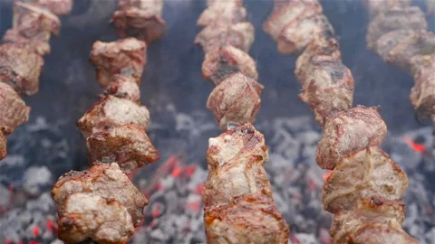 Cooking meat on the coals. Close-up Stock Footage 106556055