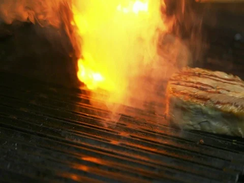 Cooking Meat on Embers 2 Stock Footage 80673372