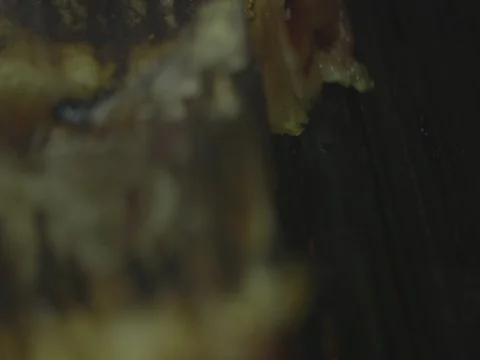 Cooking Meat on Embers 4 Stock Footage 80673512