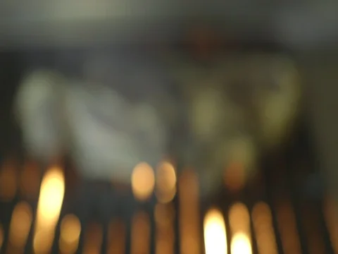 Cooking Meat on Embers 6 Stock Footage 80673495