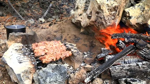 Cooking meat on a fire in camping Stock Footage 87640210