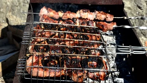 Cooking meat on fire Stock Footage 153001706