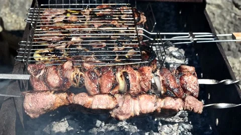 Cooking meat on fire Stock Footage 153001708