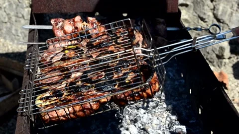 Cooking meat on fire Stock Footage 153001709