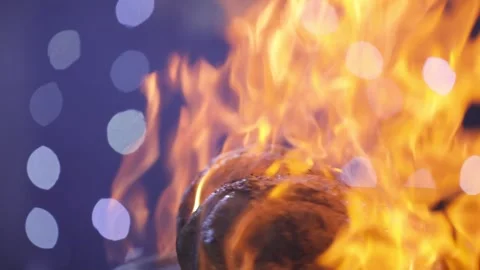 Cooking Meat on Fire Stock Footage 309321613