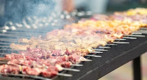 Cooking meat on fire Stock Photos