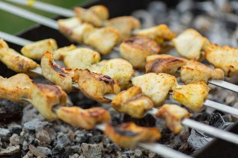 Cooking meat on fire Stock Photos