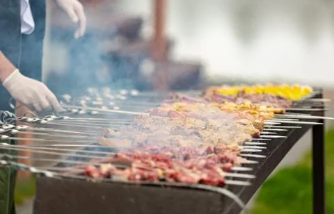 Cooking meat on fire Stock Photos