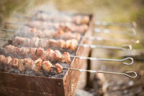 Cooking meat on the fire. with selective focus Stock Photos