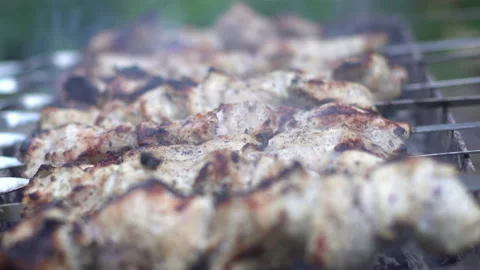 Cooking meat Stock Footage 221649718