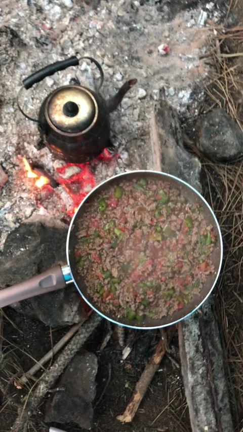 Cooking Minced Meat and Vegetables Over a Campfire Stock Footage 342182248