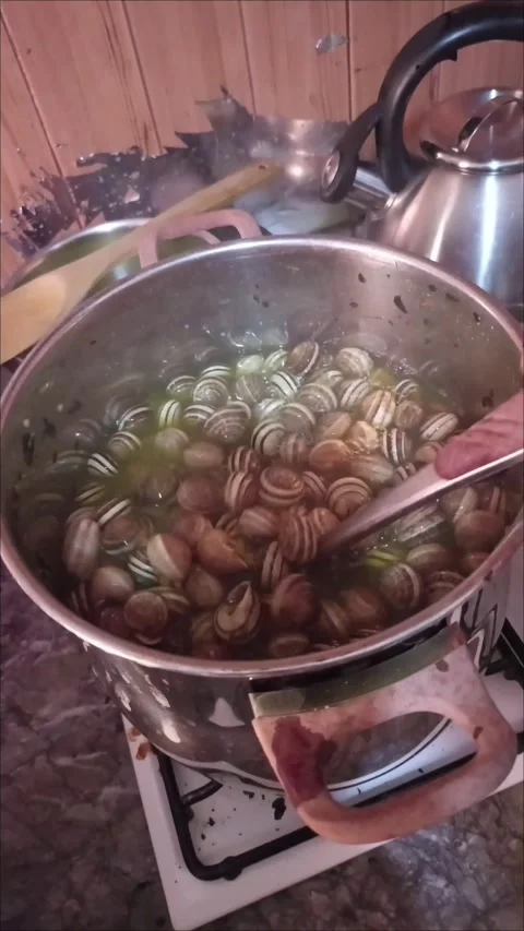Cooking Moroccan Snail Soup Bbouche in a Pot Stock Footage 335651038