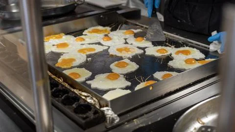 Cooking Multiple Fried Eggs on Large Commercial Griddle 스톡 사진