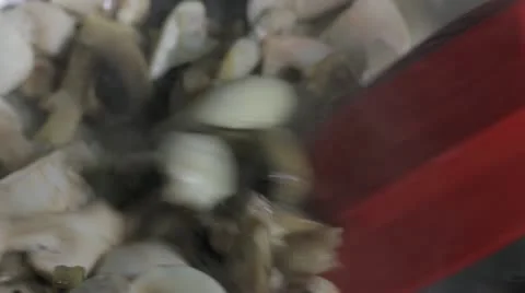 Cooking mushrooms Stock-Footage 18174068