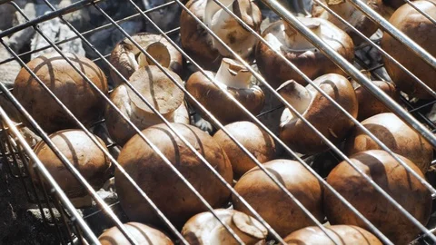 Cooking  mushrooms Stock Footage 91601393