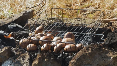 Cooking  mushrooms Stock Footage 91601469