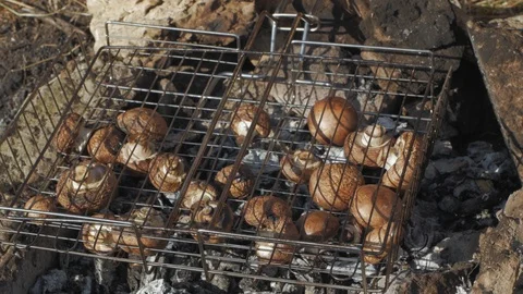 Cooking  mushrooms Stock Footage 91601472