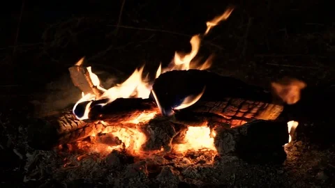 Cooking on the open fire. Close-up of firewoods burning into red flame. HD 動画素材 72991646