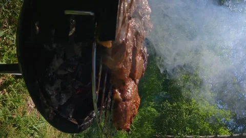 Cooking over open fire man grilling steaks on barbecue in forest outdoor meal Stock Footage 310933969