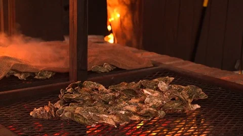 Cooking oysters on a grill. Stock Footage 71893536